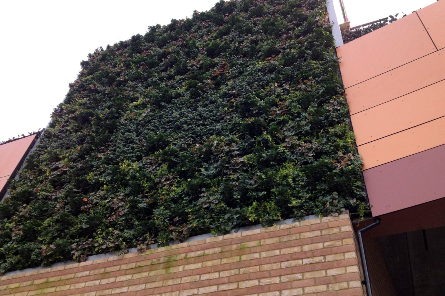 Preliminary Ecological Appraisal | The Ecology Partnership ...